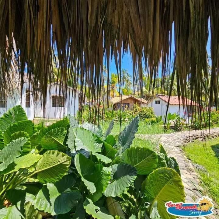 Casa Grande Surf Hotel Guachaca Szoba fotó